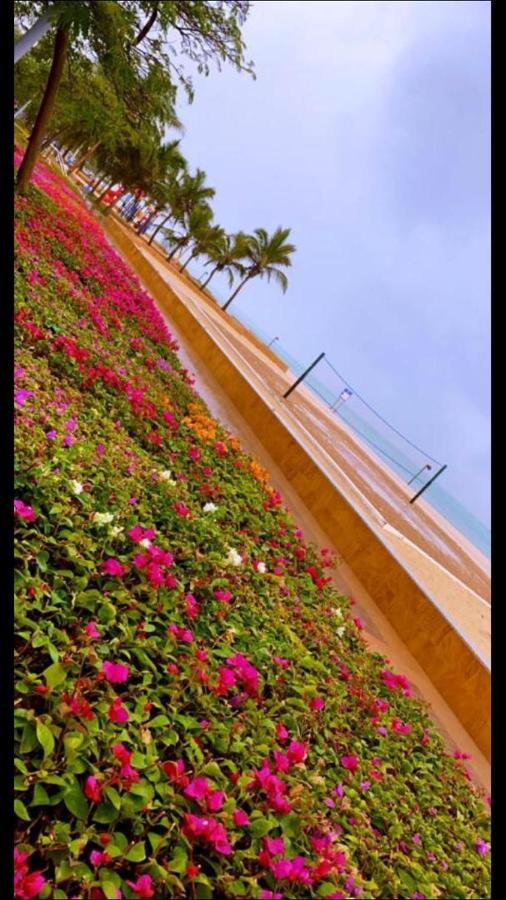 أستديو توليب مارينا الفندقي King Abdullah Economic City Exterior foto